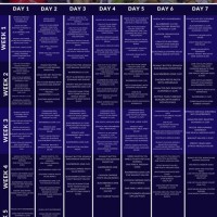 Meal Chart For Weight Loss