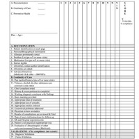 Medical Chart Audit Form