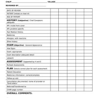 Medical Chart Review Forms