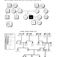 Medical Pedigree Chart Maker