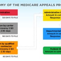 Medicare Part D Eals Process Chart