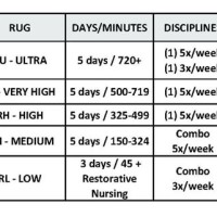 Medicare Rug Levels Chart