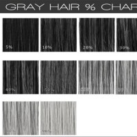 Metallic Gray Hair Color Chart