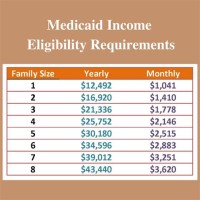 Michigan Medicaid Ine Limits 2017 Chart