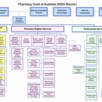 Microsoft Anizational Chart Template