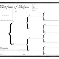 Microsoft Word Pedigree Chart Templates