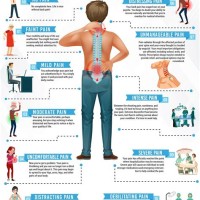 Middle Back Pain Diagnosis Chart