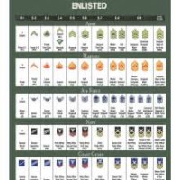 Military Rank Parison Chart