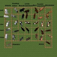 Minecraft Horse Breeding Chart Vanilla