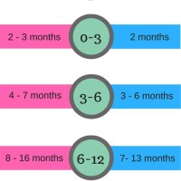 Mini Boden Usa Size Chart