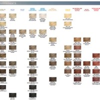 Miss Clairol Gray Busters Color Chart