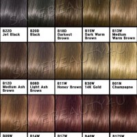 Miss Clairol Semi Permanent Hair Color Chart