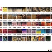 Motown Tress Hair Color Chart