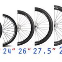 Mountain Bike Tire Size Chart Height