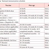 National Immunization Program Chart