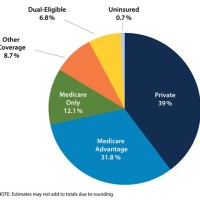 National Insurance Pie Chart