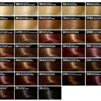 Natural Hair Base Colour Chart