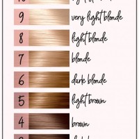 Natural Hair Color Chart 1 10