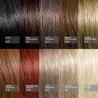 Natural Hair Color Chart For Work