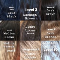 Natural Hair Color Chart Levels