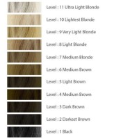 Natural Hair Colour Level Chart