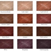 Natural Red Hair Color Chart