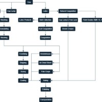 Natural Rubber Processing Flow Chart