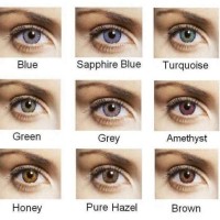 Natural Touch Contact Lenses Color Chart