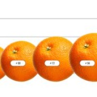 Navel Orange Fruit Size Chart