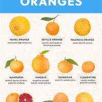 Navel Orange Size Chart