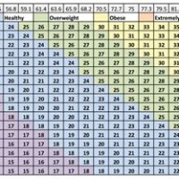 Navy Bca Standards Chart