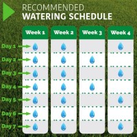 New Bermuda Sod Watering Chart