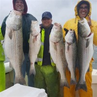 New York Harbor Fishing Charter