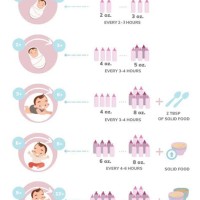 Newborn Feeding Chart Aap