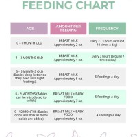 Newborn Feeding Schedule Chart