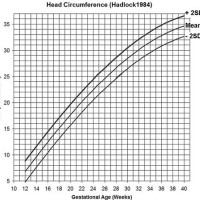 Newborn Growth Chart Gestational Age Calculator