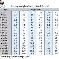 Newborn Puppy Weight Chart In Grams