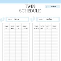 Newborn Twin Feeding Chart