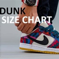 Nike Dunk Low Gs Size Chart