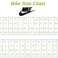 Nike Sb Size Chart Shoes