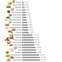 Non Meat Protein Sources Chart