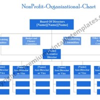 Non Profit Anizational Chart Template