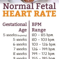 Normal Fetal Heart Rate Chart 16 Weeks