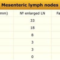 Normal Lymph Node Size Chart Neck