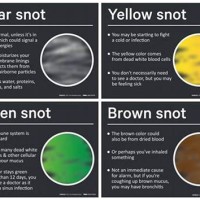 Nose Mucus Colour Chart