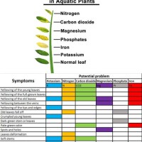 Nutrient Deficiency Chart In Plants