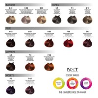 Nxt Permanent Hair Colour Chart