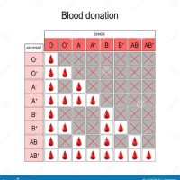 O Positive Blood Group Donor Chart