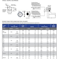 O Ring Gland Size Chart