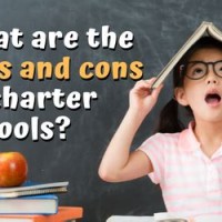 Obaare Pros And Cons Charter